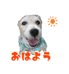 さくらのデイリースタンプ（個別スタンプ：1）