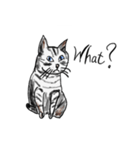 猫ともっち アメショー（個別スタンプ：3）