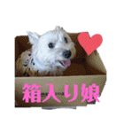 フロレベすたんぷver8（個別スタンプ：1）