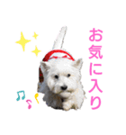 フロレベすたんぷver8（個別スタンプ：2）