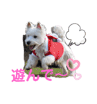 フロレベすたんぷver8（個別スタンプ：3）