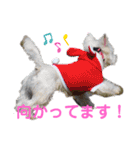 フロレベすたんぷver8（個別スタンプ：4）