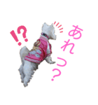 フロレベすたんぷver8（個別スタンプ：6）