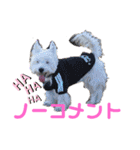 フロレベすたんぷver8（個別スタンプ：7）