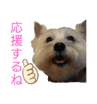 フロレベすたんぷver8（個別スタンプ：8）
