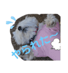 フロレベすたんぷver8（個別スタンプ：9）