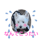 フロレベすたんぷver8（個別スタンプ：11）