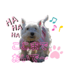 フロレベすたんぷver8（個別スタンプ：13）