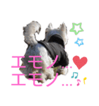 フロレベすたんぷver8（個別スタンプ：14）