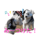 フロレベすたんぷver8（個別スタンプ：15）