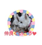 フロレベすたんぷver8（個別スタンプ：17）