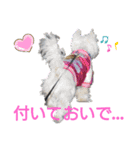 フロレベすたんぷver8（個別スタンプ：19）