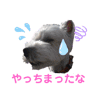 フロレベすたんぷver8（個別スタンプ：20）