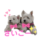 フロレベすたんぷver8（個別スタンプ：21）