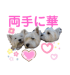 フロレベすたんぷver8（個別スタンプ：27）