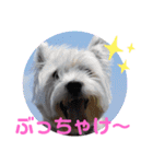 フロレベすたんぷver8（個別スタンプ：31）