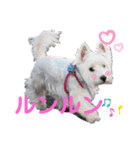 フロレベすたんぷver8（個別スタンプ：32）