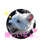 フロレベすたんぷver8（個別スタンプ：33）