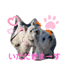 フロレベすたんぷver8（個別スタンプ：35）