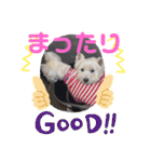 フロレベすたんぷver8（個別スタンプ：37）