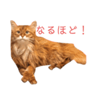 きららの毎日2（個別スタンプ：4）