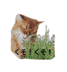 きららの毎日2（個別スタンプ：6）