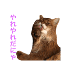 きららの毎日2（個別スタンプ：11）