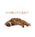 きららの毎日2（個別スタンプ：15）
