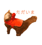 きららの毎日2（個別スタンプ：17）