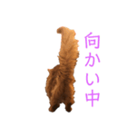 きららの毎日2（個別スタンプ：18）