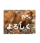 きららの毎日2（個別スタンプ：23）