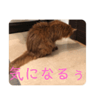 きららの毎日2（個別スタンプ：26）