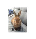 自由なヨシヒコさん（個別スタンプ：2）