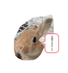 自由なヨシヒコさん（個別スタンプ：3）