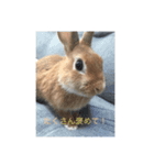 自由なヨシヒコさん（個別スタンプ：5）