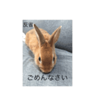 自由なヨシヒコさん（個別スタンプ：7）