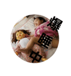 いろはちゃんと仲間たち③（個別スタンプ：1）
