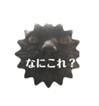 もみじスタンプ(空)（個別スタンプ：1）
