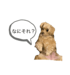 たくさんの種類2（個別スタンプ：8）