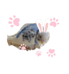 そラピー（個別スタンプ：9）