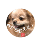 すいかデWhaoo！（個別スタンプ：8）