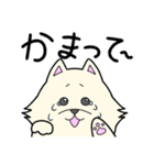 ポメまるの日常（個別スタンプ：11）