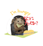 キンクマハムスターのドリスくん（個別スタンプ：14）