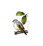 野鳥と一緒（個別スタンプ：4）