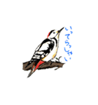 野鳥と一緒（個別スタンプ：7）
