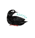 野鳥と一緒（個別スタンプ：11）