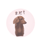 ミニチュアダックスのフルールちゃん（個別スタンプ：8）