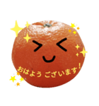 ゆるかわ♡あいさつスタンプ （みかん）（個別スタンプ：1）