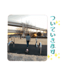 まるこ18（個別スタンプ：2）