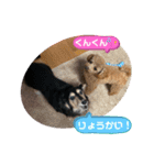 まるこ18（個別スタンプ：4）